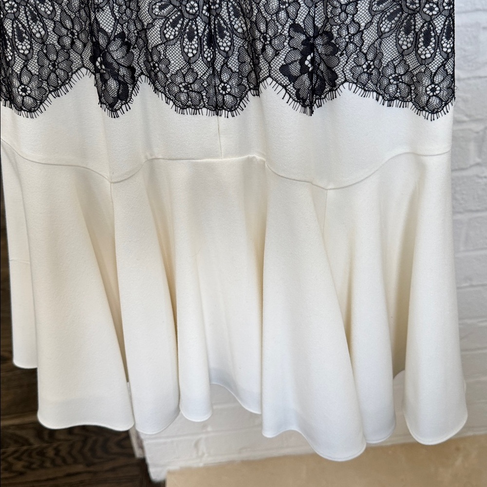 BCBGMaxAzria Ivory Dress with Black Lace Overlay - Picture 8 of 9
